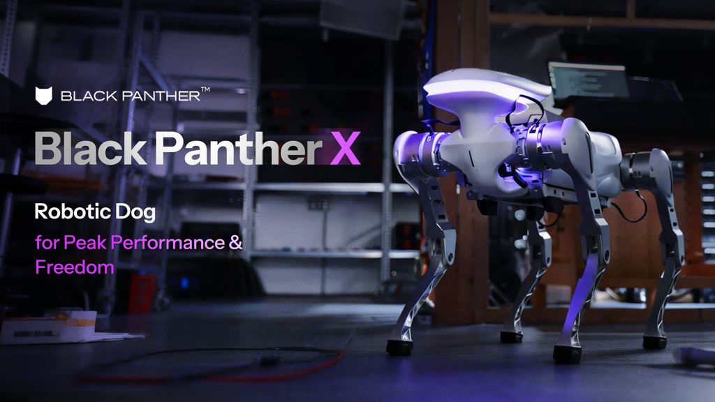 Kickstarter - Black Panther X Robotic Dog for Peak Performance & Freedom