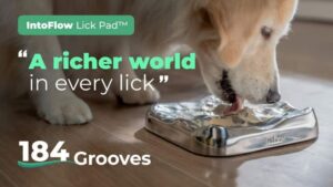 Kickstarter - IntoFlow A Lick Pad Designed for Dogs
