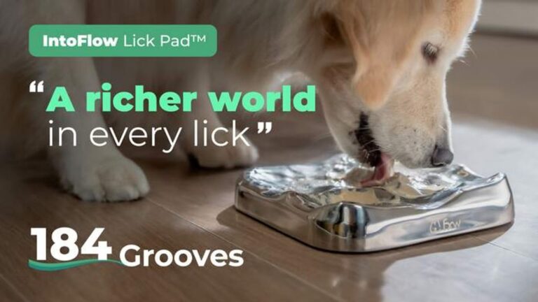 Kickstarter - IntoFlow A Lick Pad Designed for Dogs