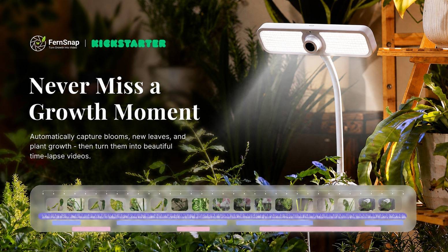 FernSnap- AI Plant Time-Lapse Camera