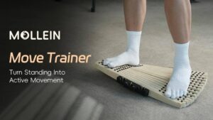 Mollein Move Trainer | Turn Standing Into Active Movement